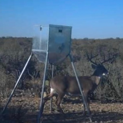 Texas Edition 12 Volt 300LB Stand and Fill Feeder