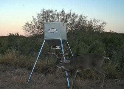 Protein Feeder Trough